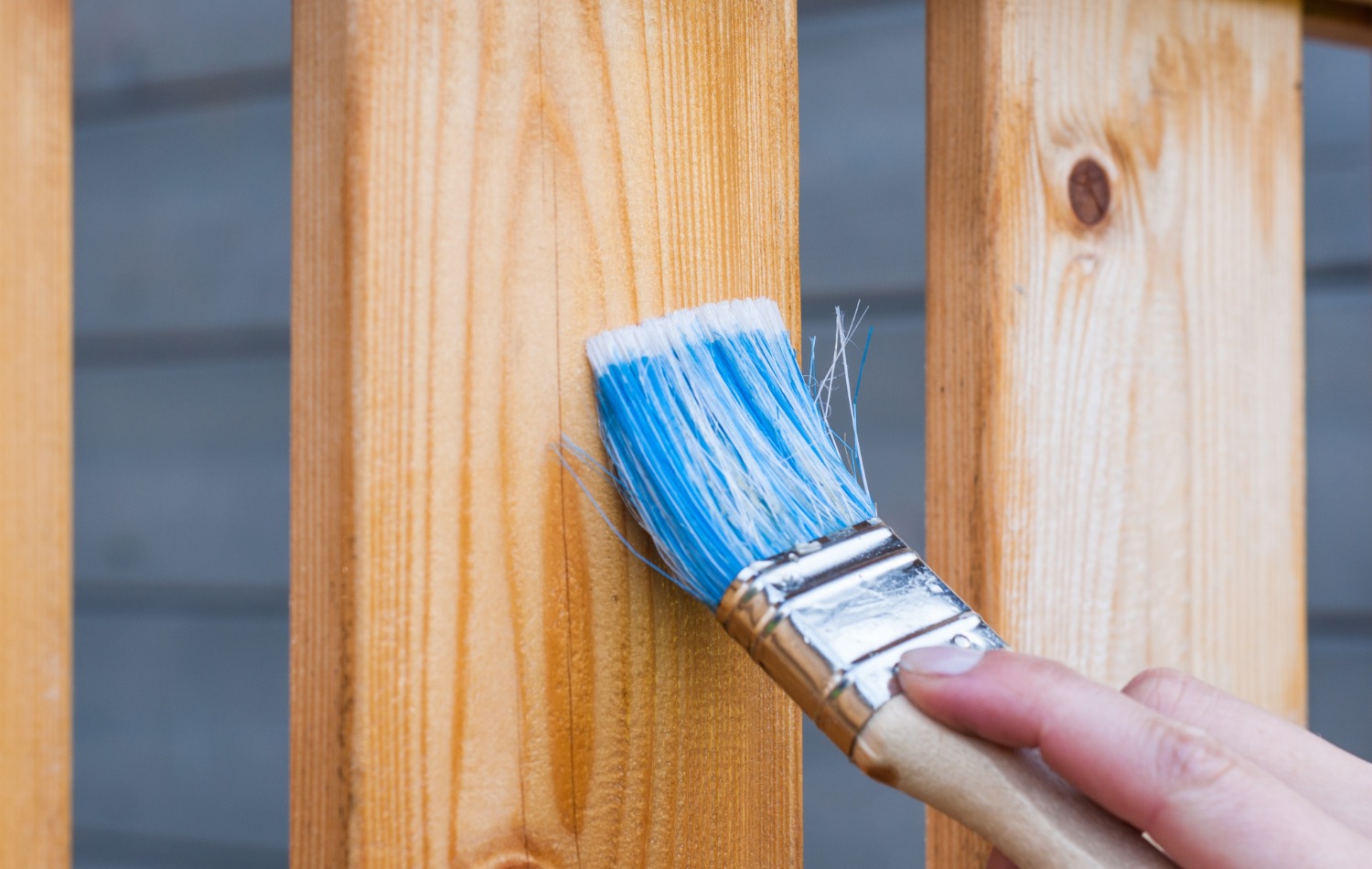 fence cleaning 3